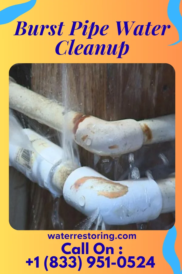 Burst Pipe Water Cleanup in Cleveland, GA