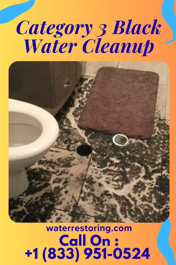 Category 3 Black Water Cleanup in Cleveland, GA